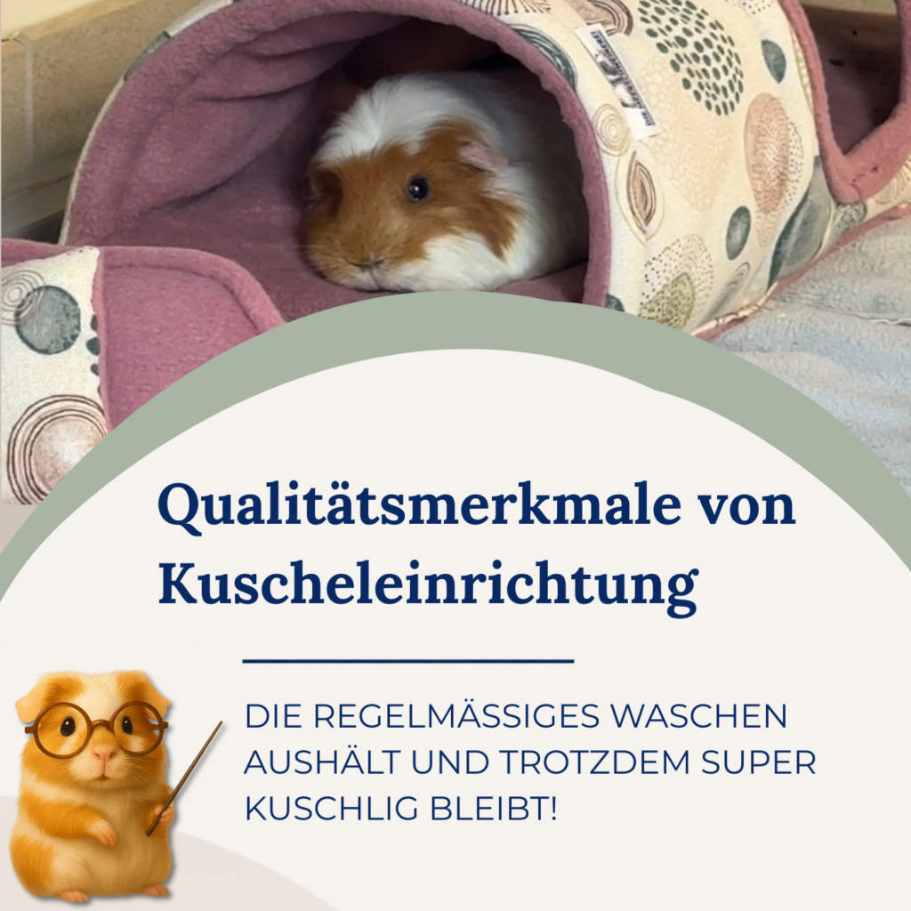 Qualitätsmerkmale von Kuscheleinrichtung, die regelmäßiges waschen aushält und trotzdem super kuschlig bleibt!