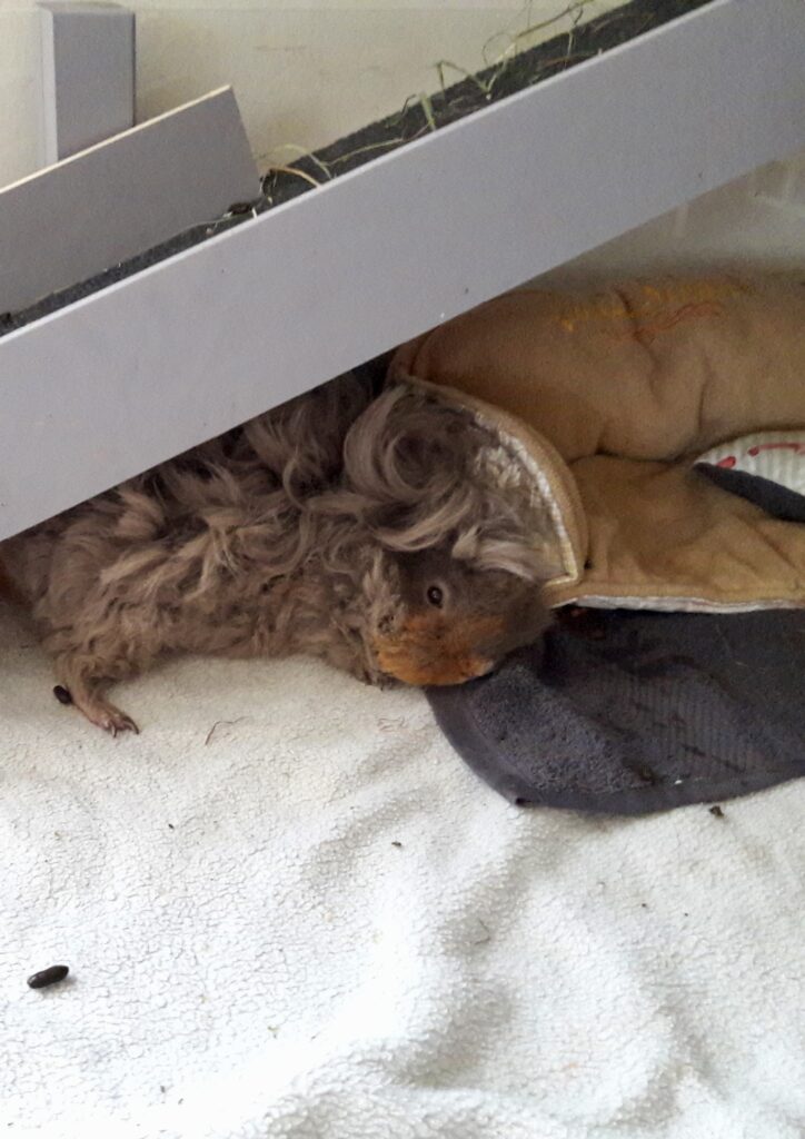 Ilvy chillt unter der Rampe