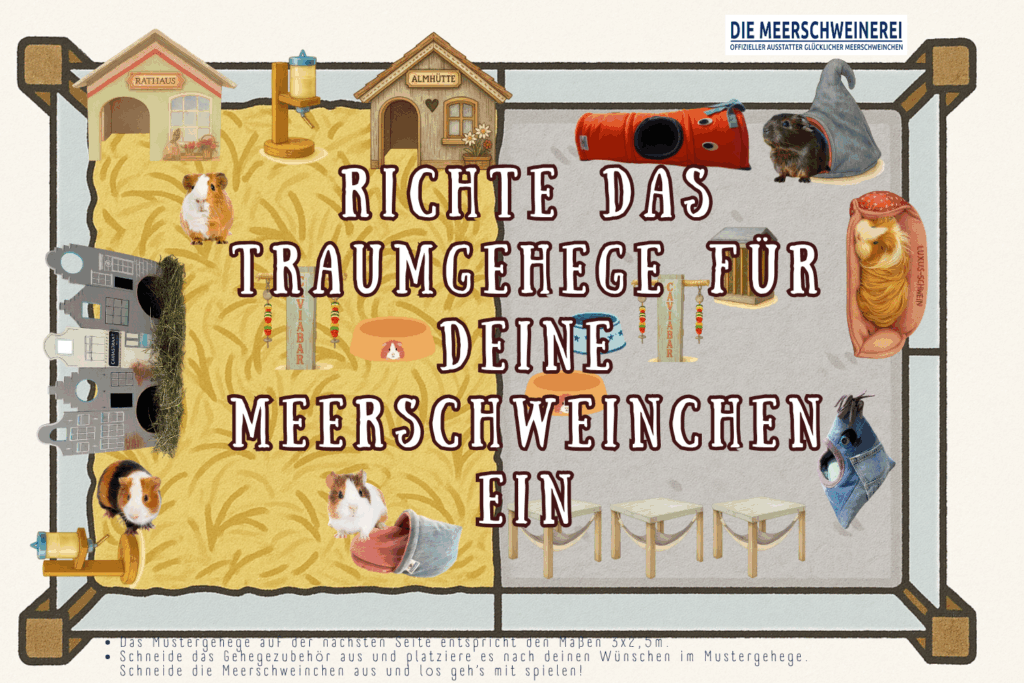 Illustration zum Thema „Artgerechtes Meerschweinchengehege“ mit Beispielen für Einrichtung, Rückzugsorte, Futterplätze und ausreichend Platz. Übersichtliche Darstellung, was ein gutes Meerschweinchengehege beinhalten sollte.