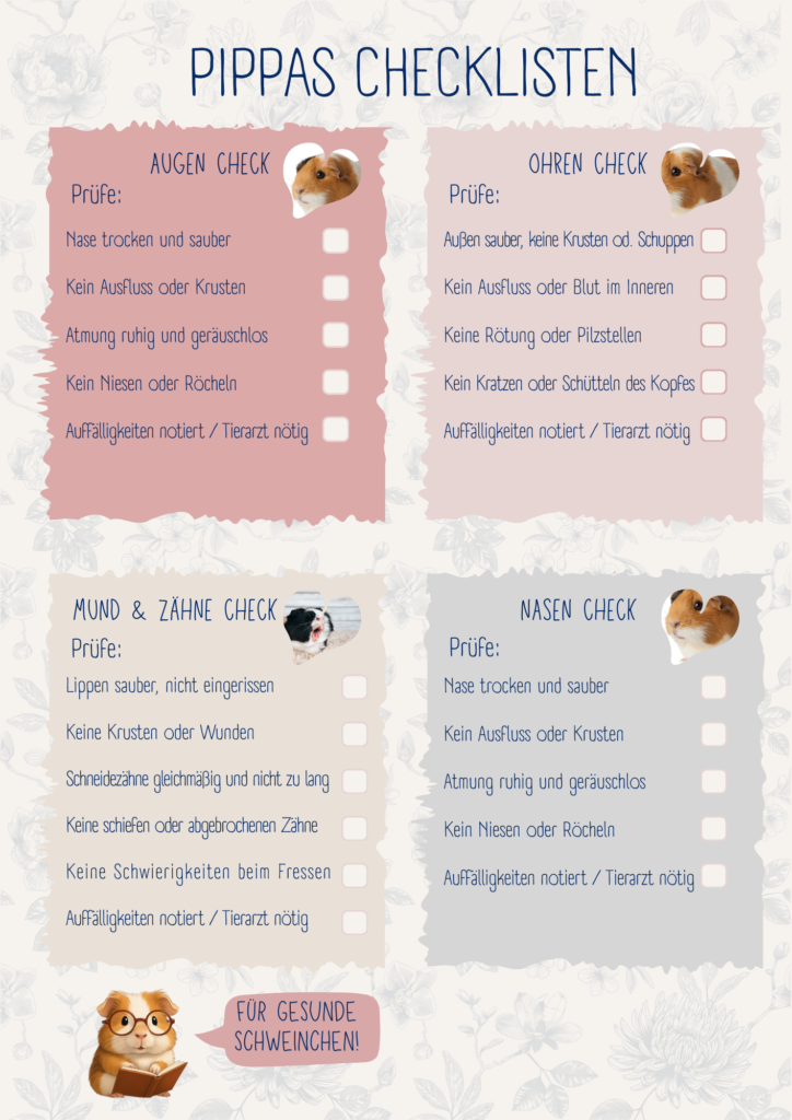 Pippas Meerschweinchen Gesundheitscheckliste für Augen, Ohren, Mund & Zähne und Nase