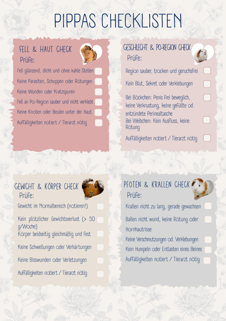 Pippas Meerschweinchen Gesundheitscheckliste für Fell & Haut, Geschlecht und Po Region, Gewicht, Körper und Pfoten und Krallen.