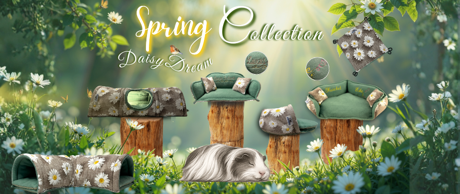 Spring Collection Daisy Dreams 