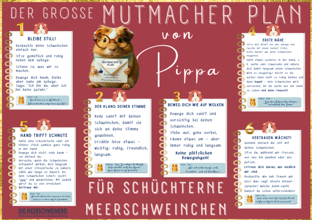 Poster Pippas Mutmacher Plan für schüchterne Meerschweinchen