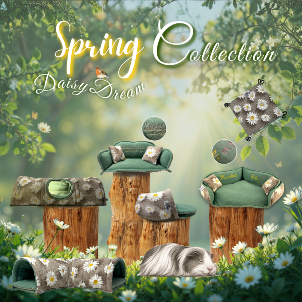 Produktübersicht aus der Spring Collection Daisy Dreams