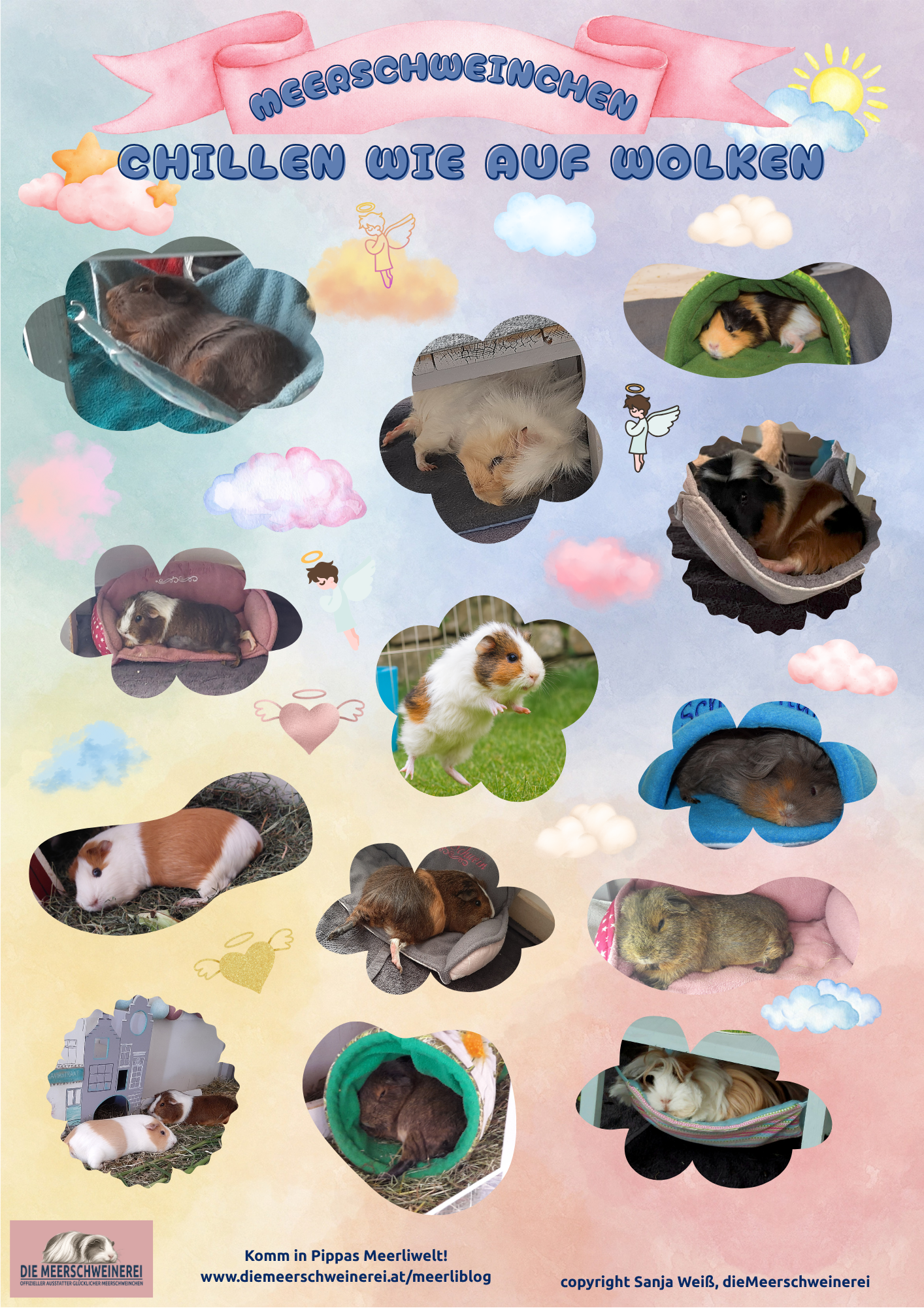 Freebie_Meerschweinchen chillen wie auf Wolken Poster