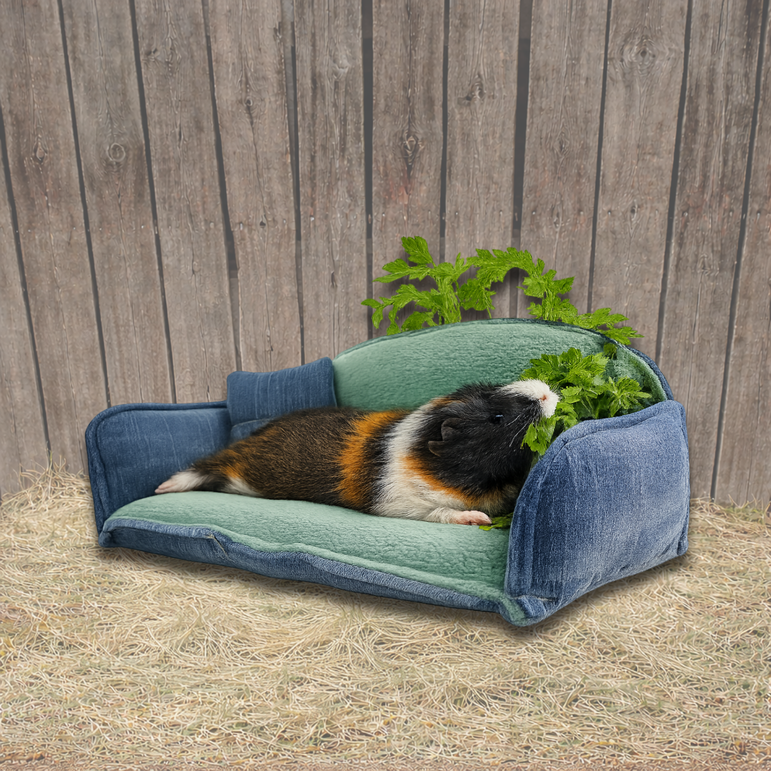 Titelbild Kuschelsofas