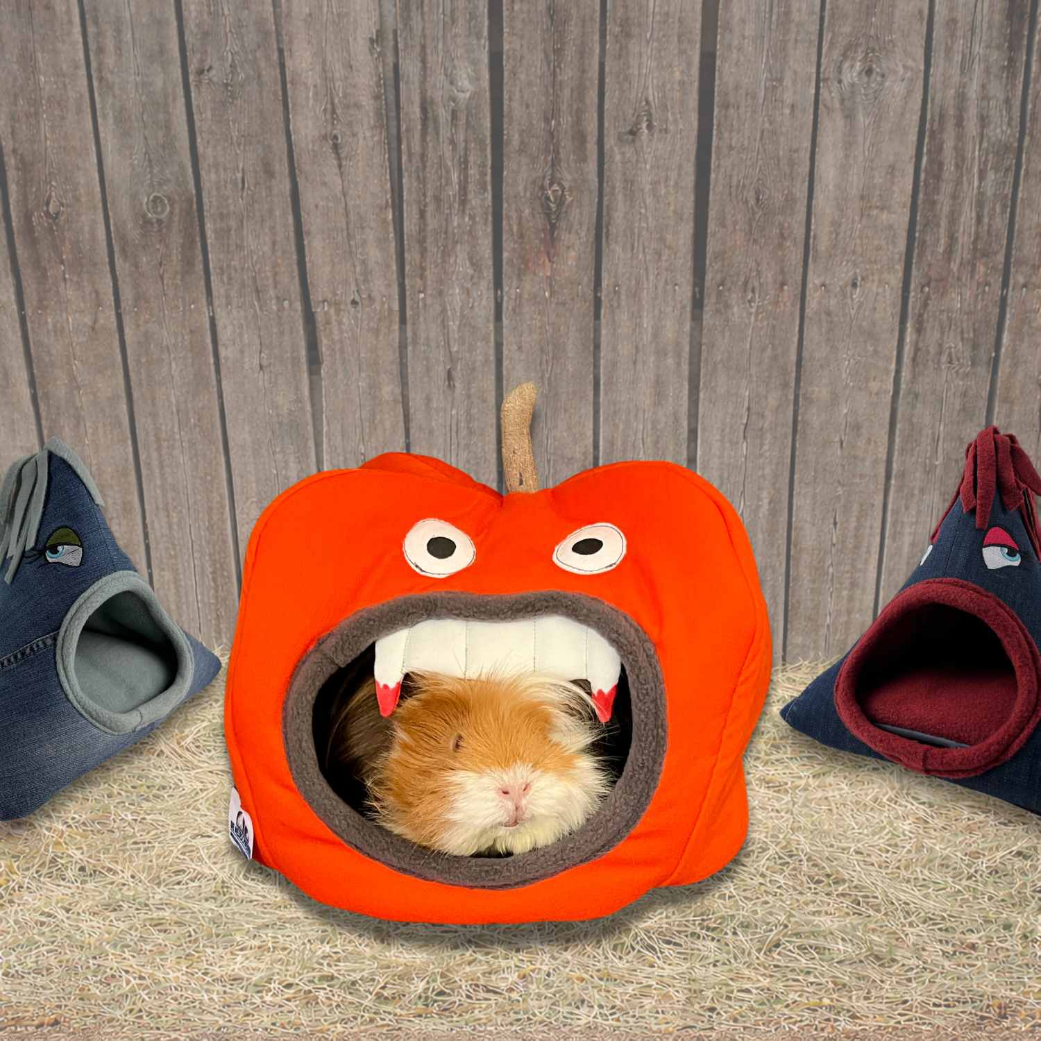 Titelbild Kuschelhöhlen neu