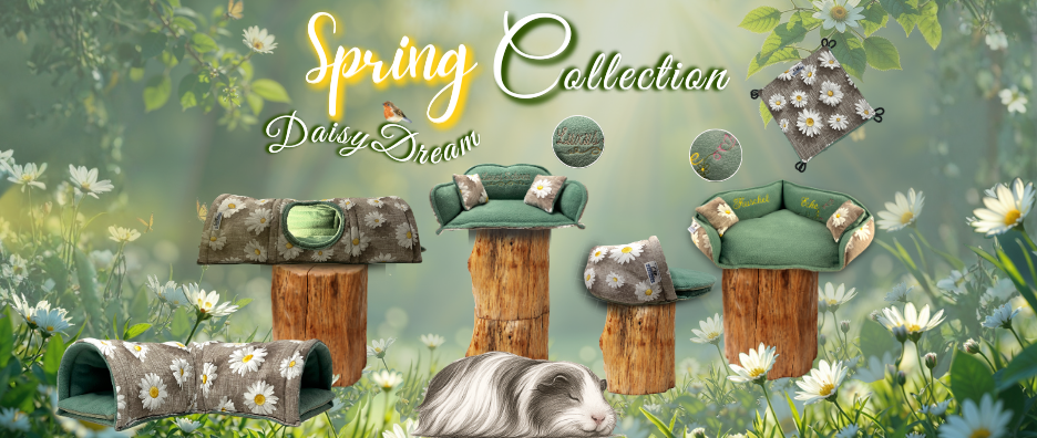 Kollektion Übersichtsseite Banner Spring Collection
