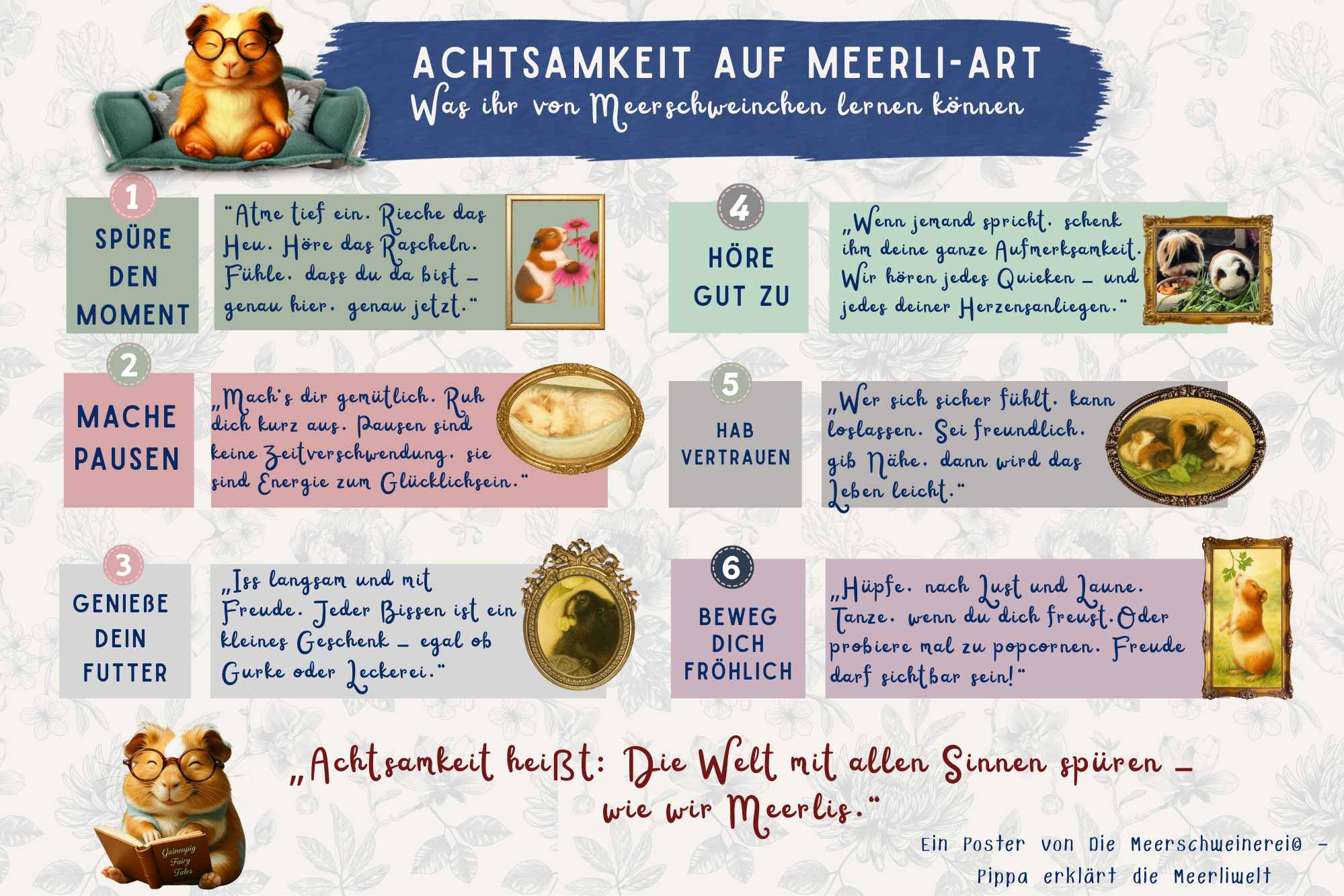 Freebie_Meerschweinchen Anatomie