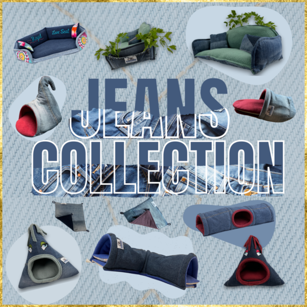 Titelbild Jeans Collection