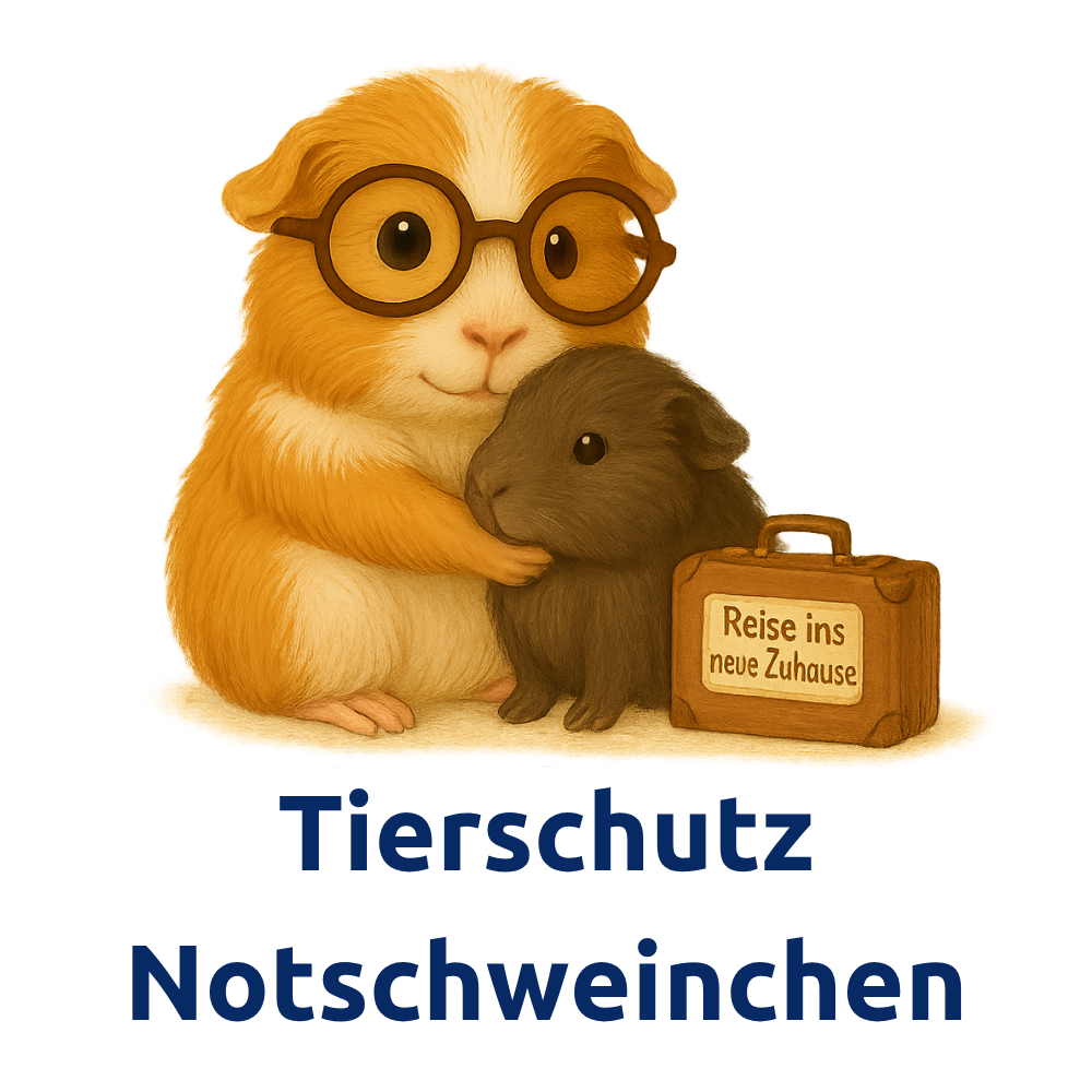 Lehrmeisterin Pippa verabschiedet ein Notmeerschweinchen in sein neues Zuhause