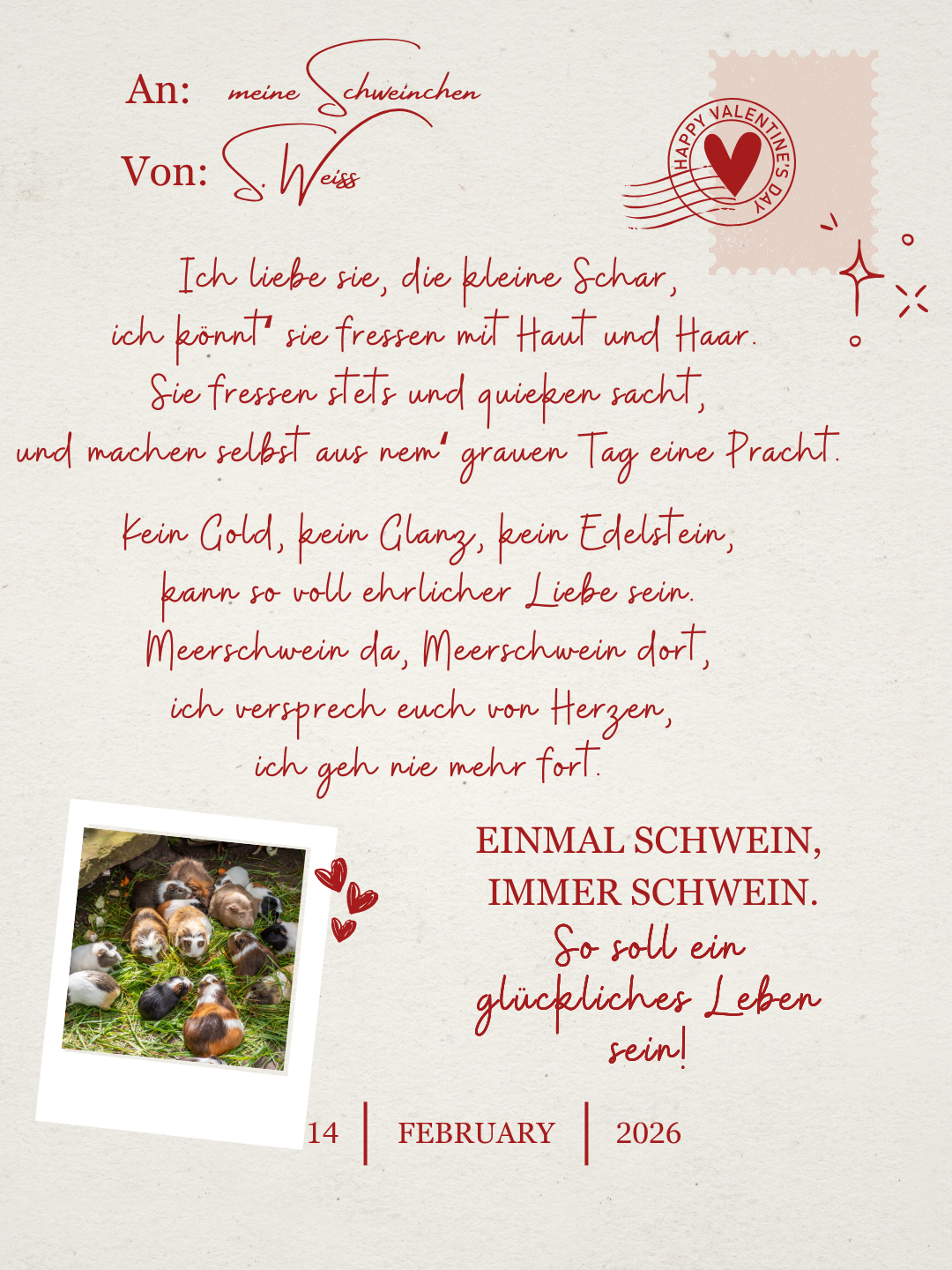Liebesbrief an meine Schweinchen - Valentins Day