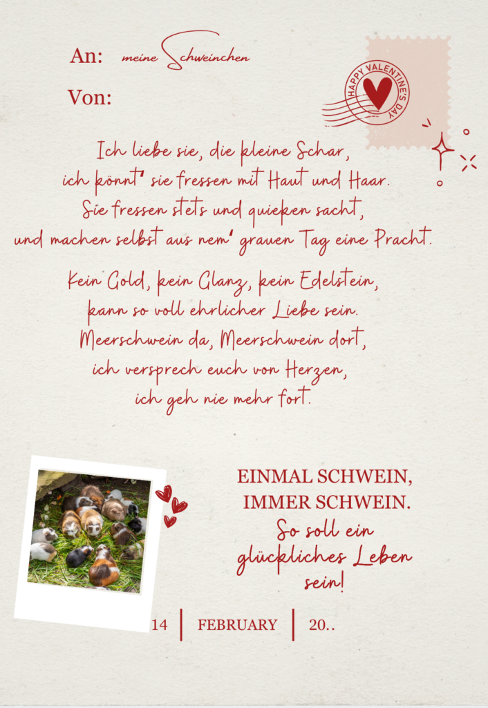Meerschweinchen Gedicht über Liebe zu Meerschweinchen