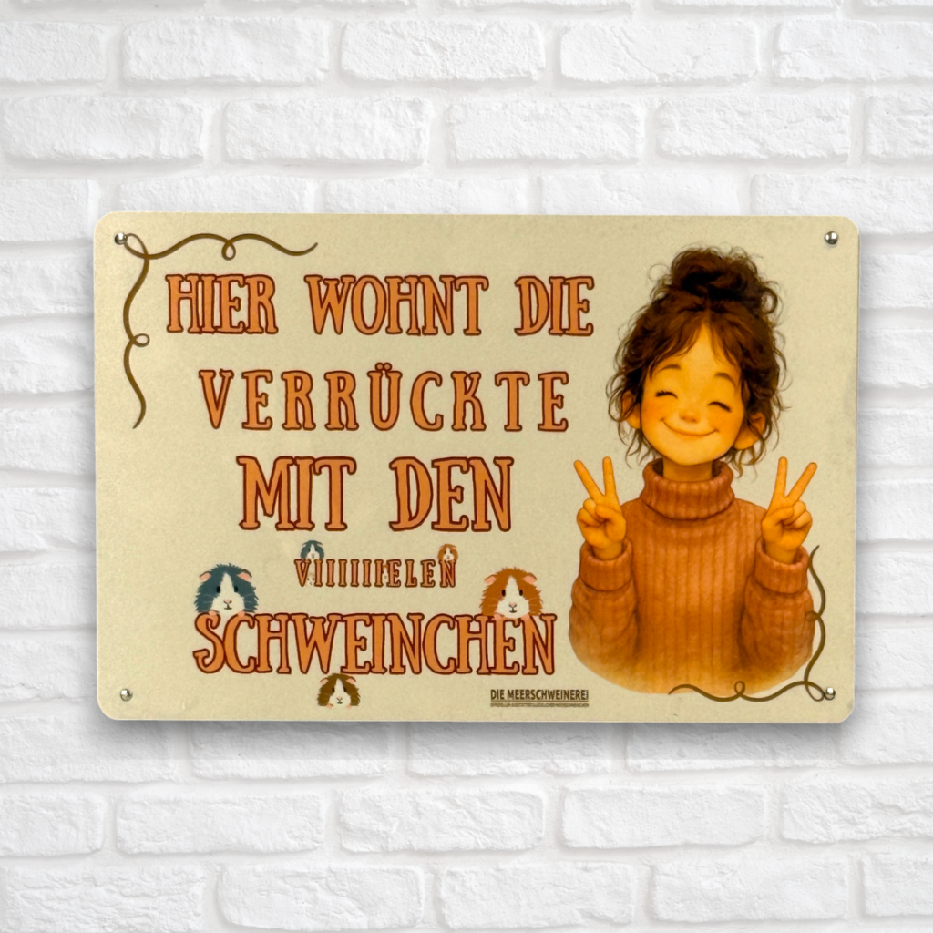 Metall Schild Vintage 20x30cm Hier wohnt die Verrückte mit den vielen Schweinchen