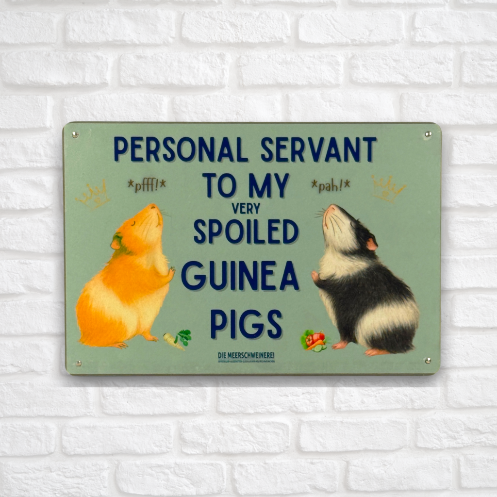 Metall Schild Vintage 20x30cm Personal Servant to my guinea pig