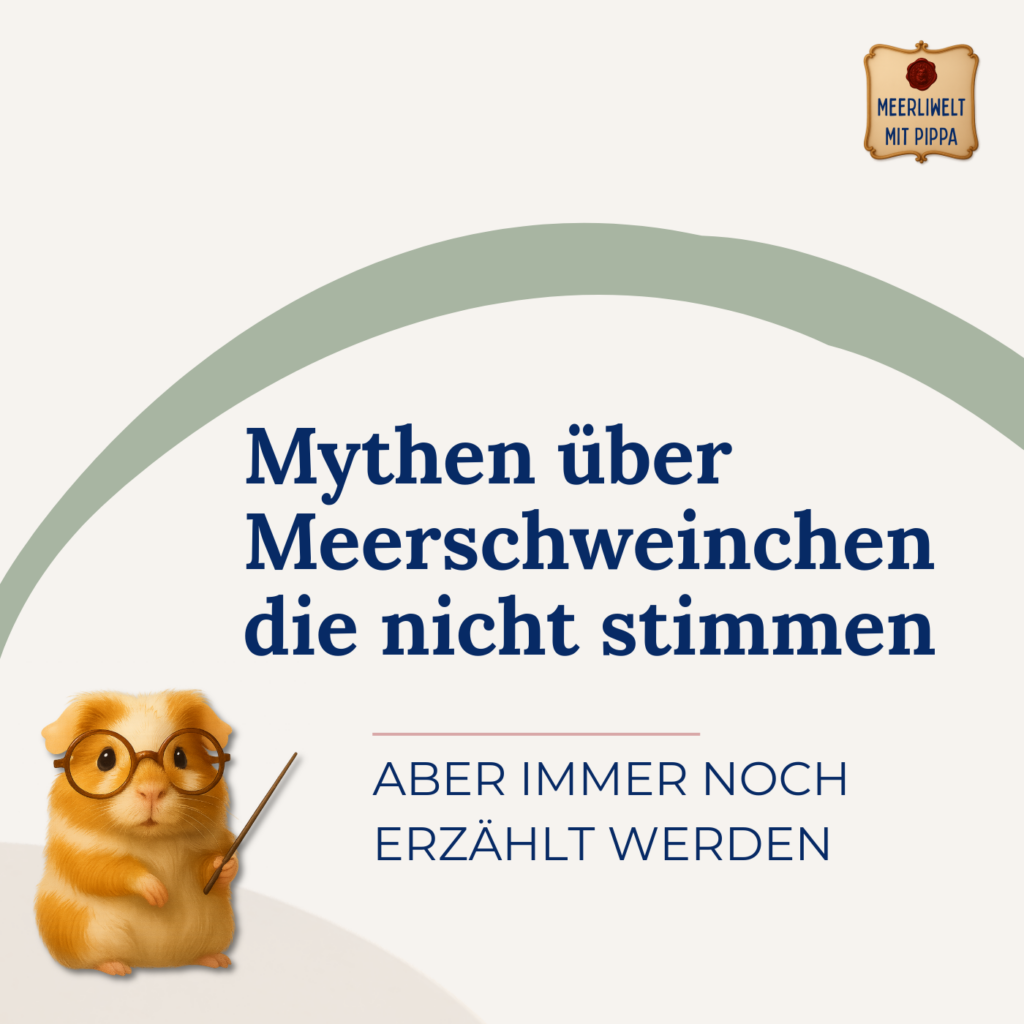 13 Mythen über Meerschweinchen, die NICHT stimmen