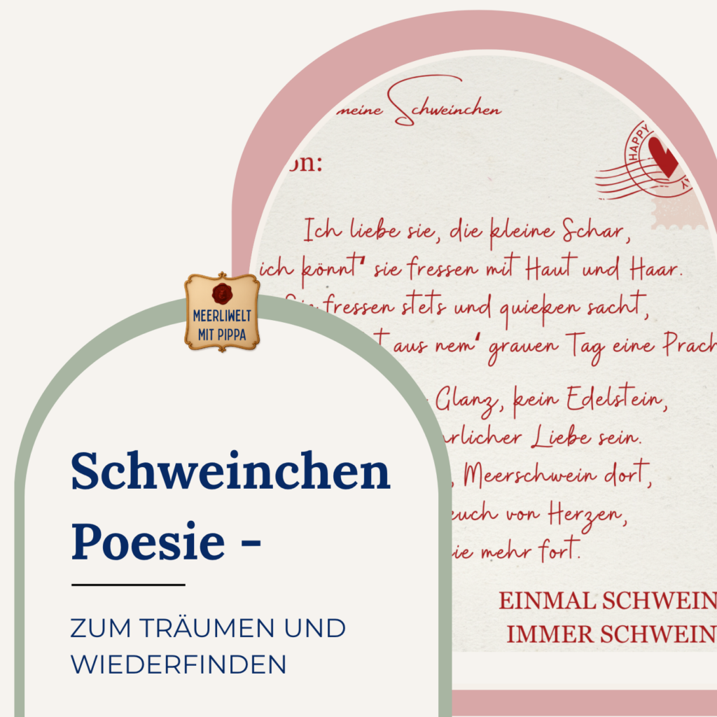 Schweinchen Poesie – zum Träumen und Wiederfinden
