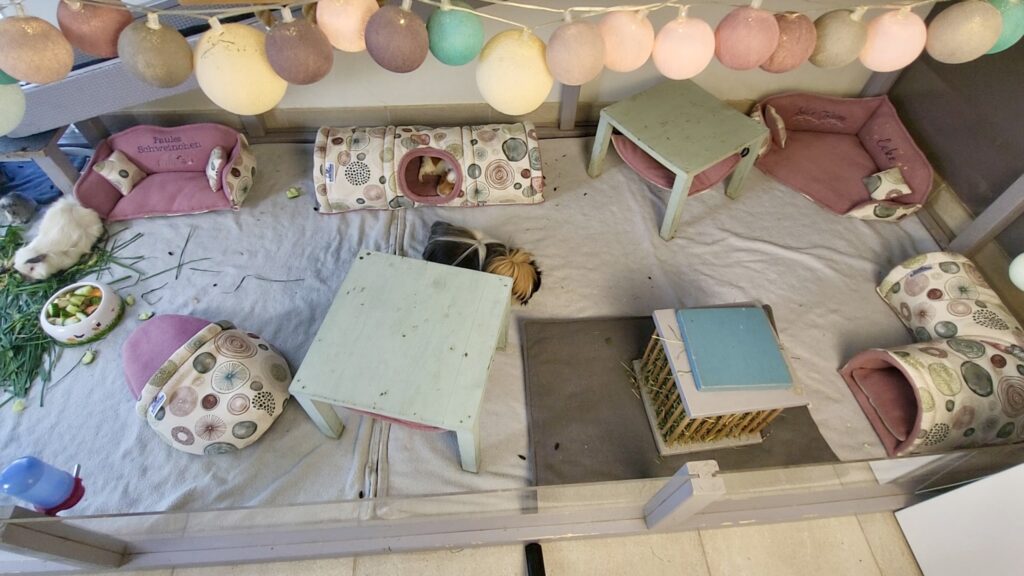 Vintage Circles Collection eingerichtet im Gehege