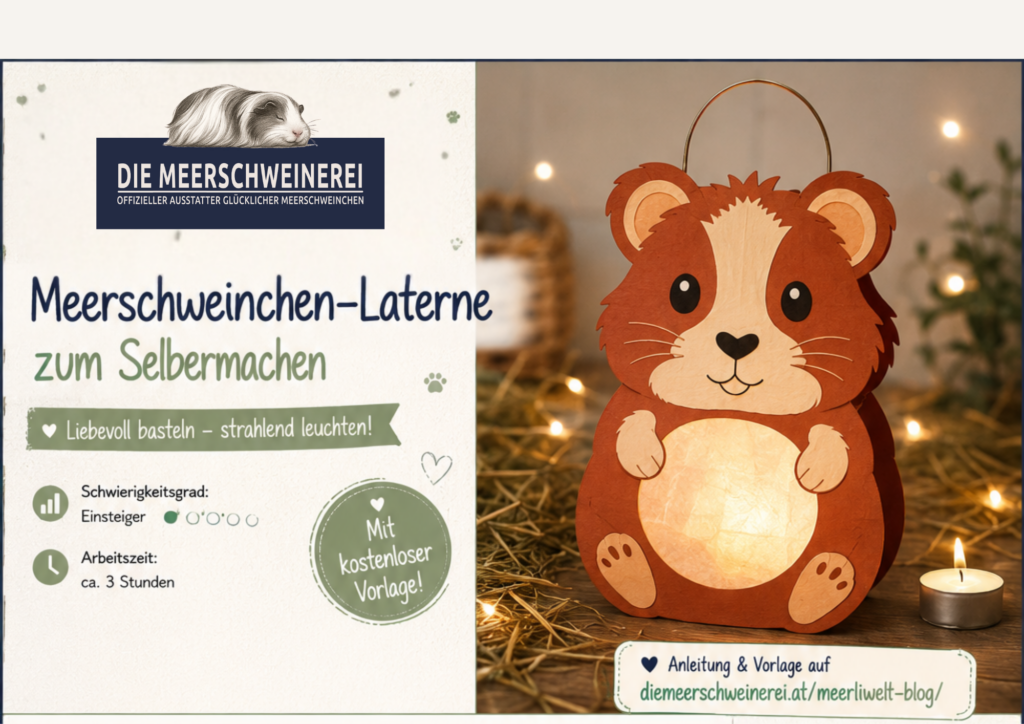 Meerschweinchen Laterne basteln Schritt für Schritt Anleitung mit Freesie download Vorlagen