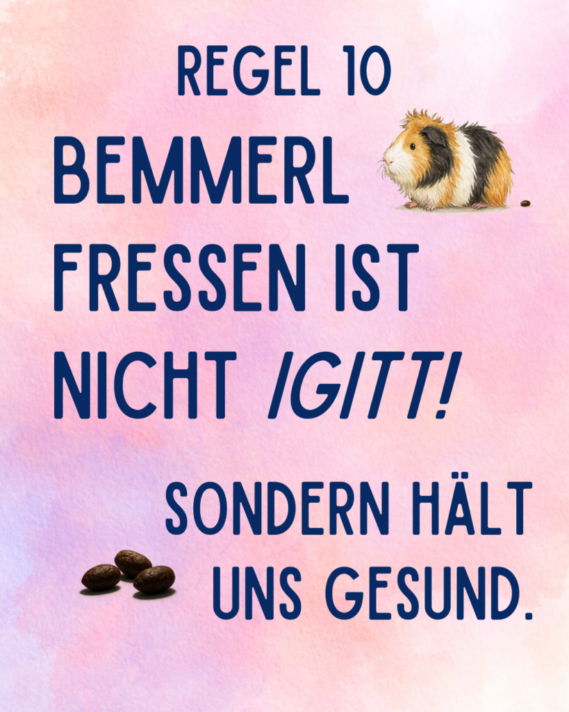 12Meerschweinchen Alltags Regeln - Regel 10