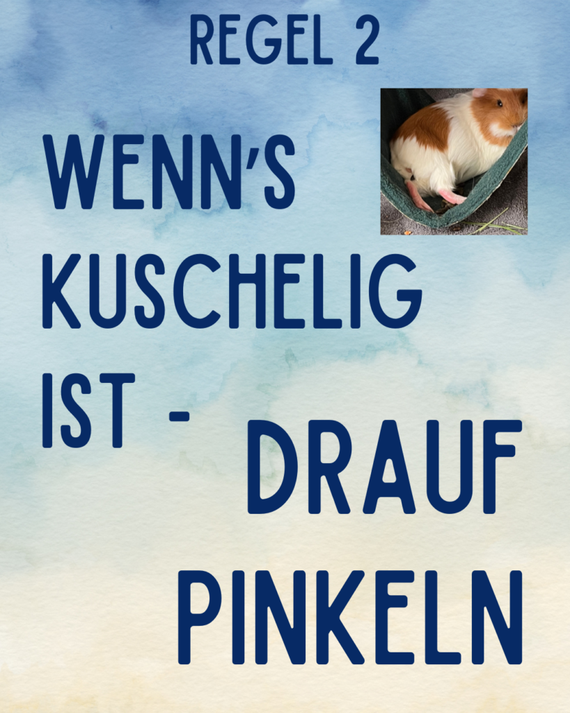Meerschweinchen Alltags Regeln - Regel 2