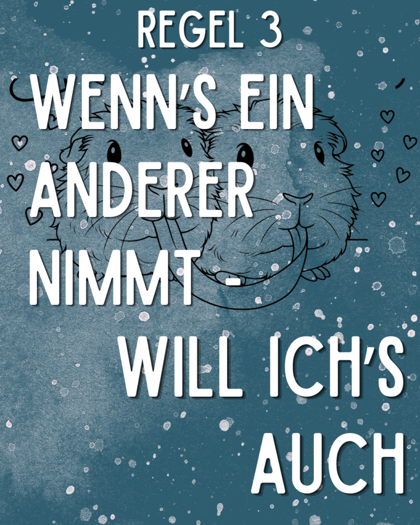 Meerschweinchen Alltags Regeln - Regel 3