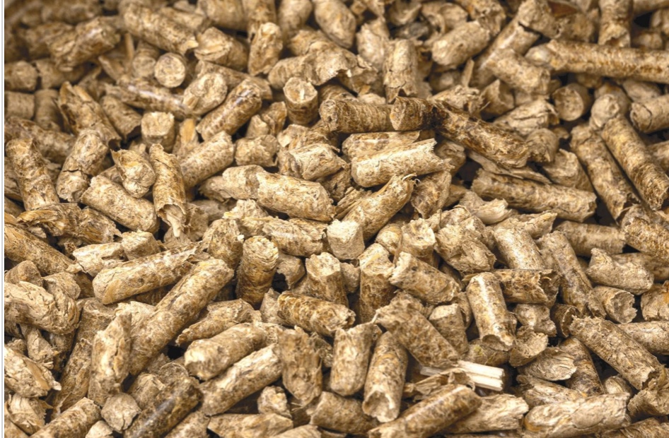 NO GO für Meerschweinchen Pellets als Gehegeunterlage
