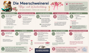 Die Meerschweinerei Waschanleitung - Detaillierte Beschreibung wie du unsere Kuschelprodukte optimal reinigst - für ein langes Leben und maximales Kuschelvergnügen für deine Meerschweinchen