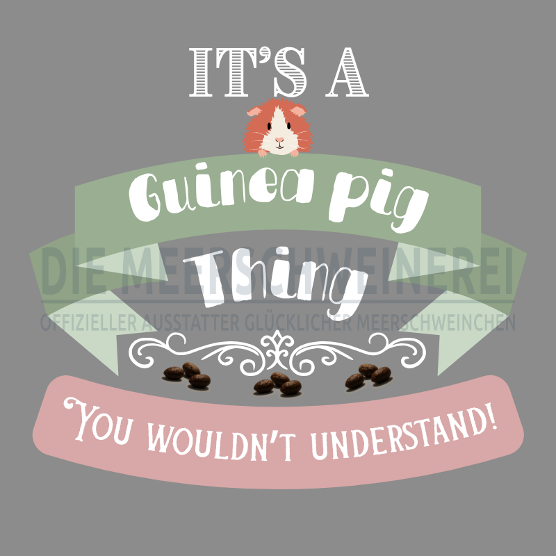 It´s a guinea pig thing