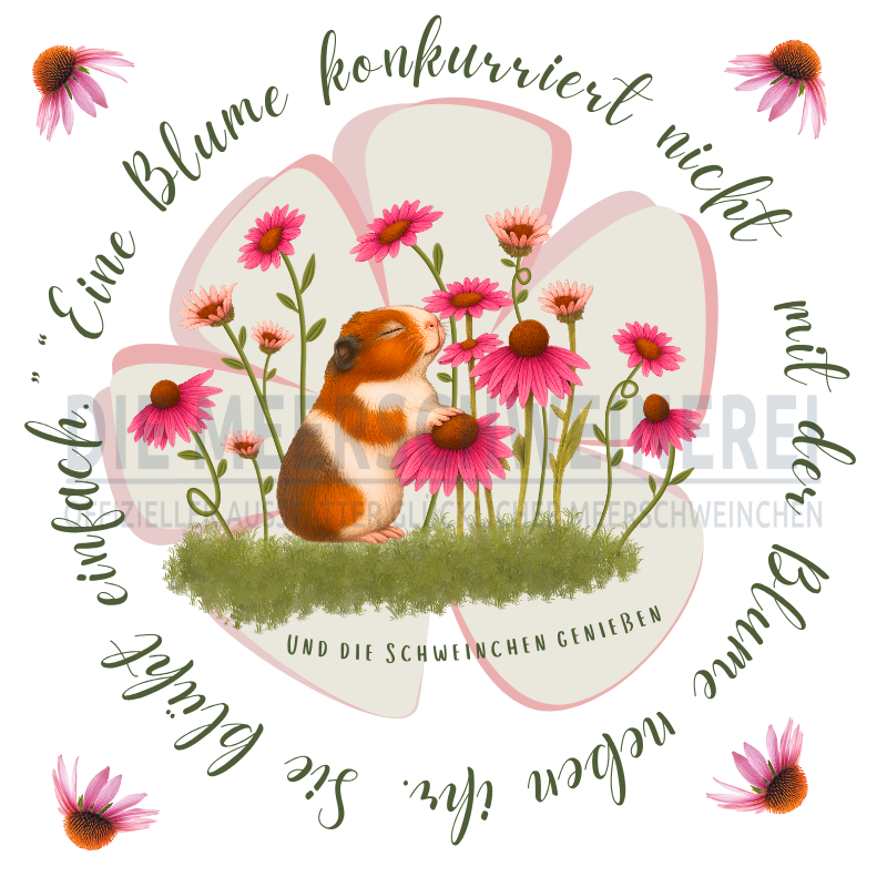 Titelbild Blume Meerschweinchen