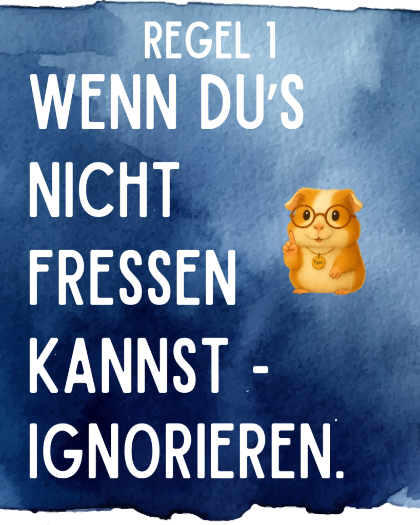 Meerschweinchen Alltags Regeln - Regel 1