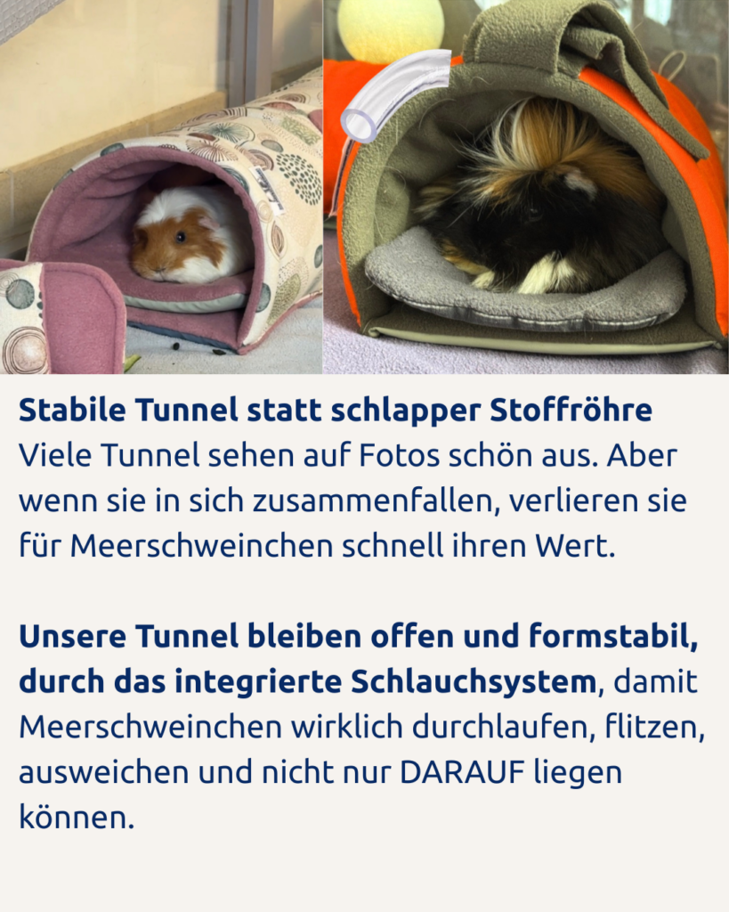 Meerschweinchen Kuschelsachen die stabil bleiben und waschbar sind von DIEMEERSCHWEINREI