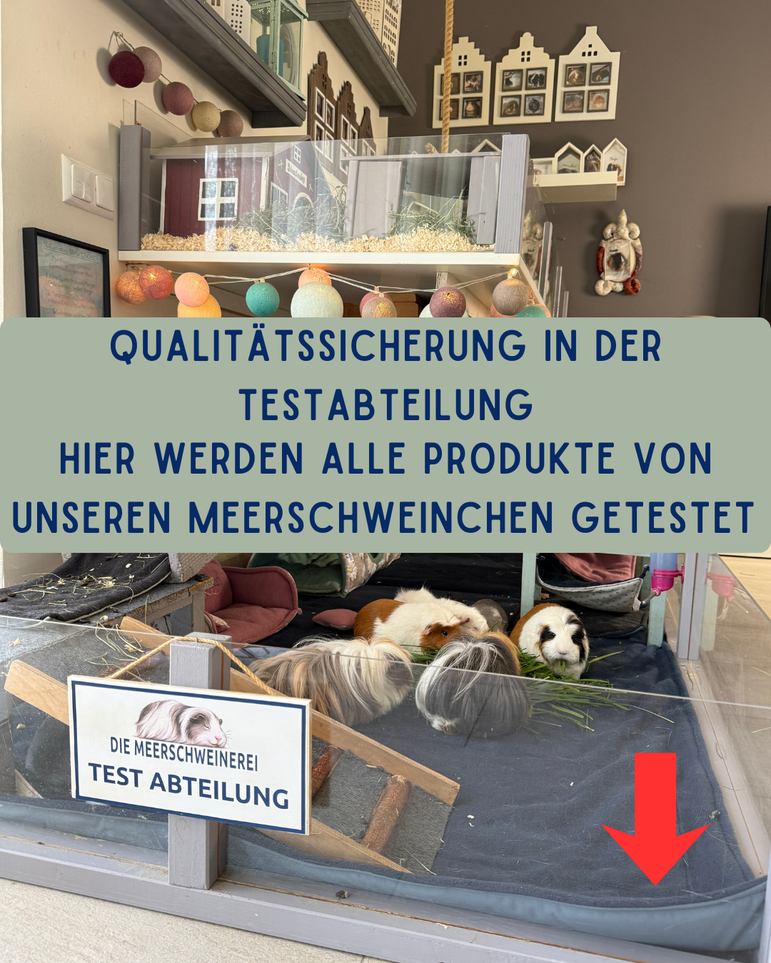 Urindichte Gehegeunterlagen von DIEMEERSCHWEINEREI - Qualitätstests in unserer Tesabteilung