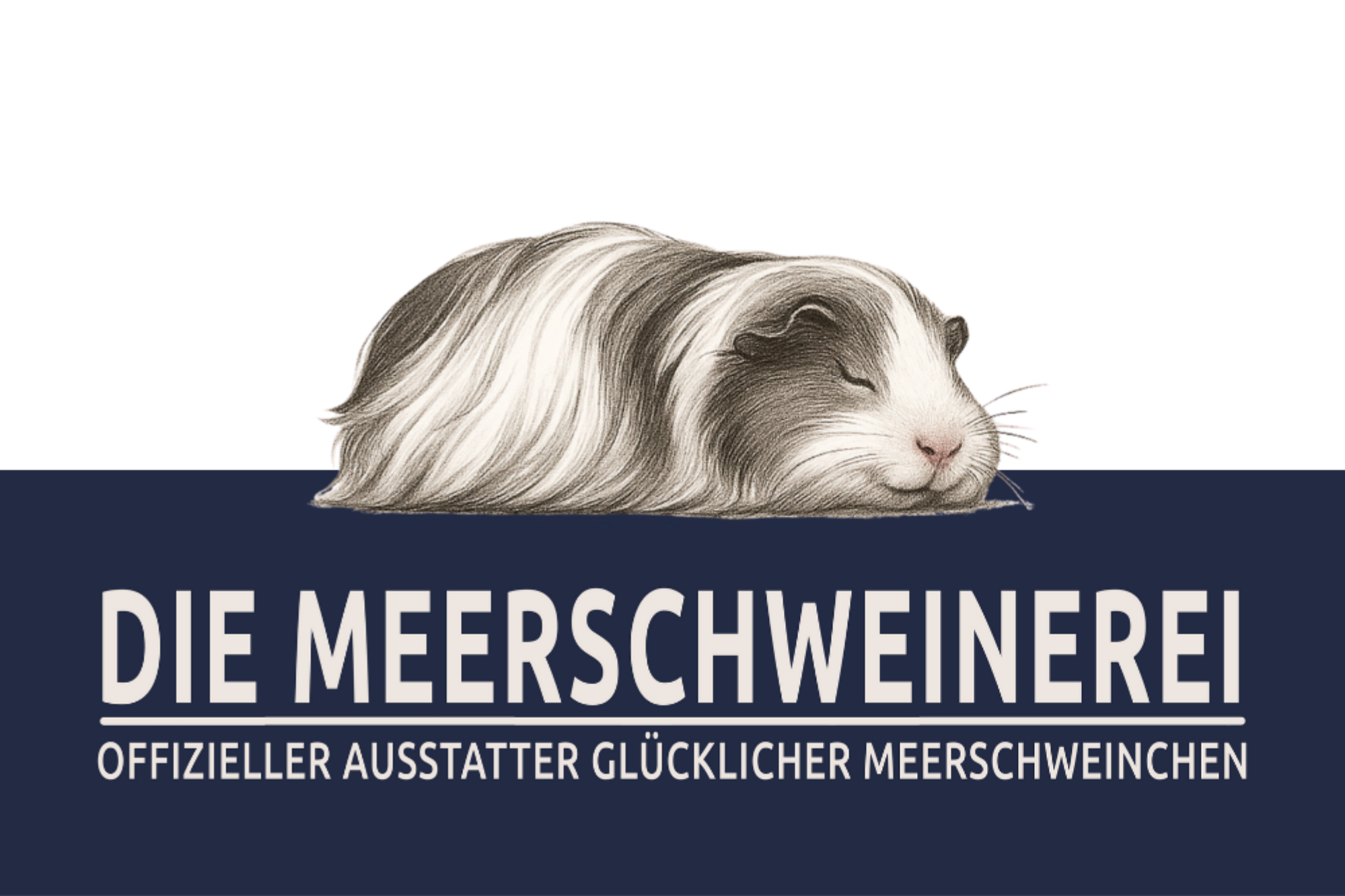 Logo DIEMEERSCHWEINEREI