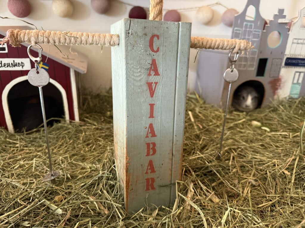 Futterstation für Meerschweinchen - Cavia Bar - Bastelanleitung