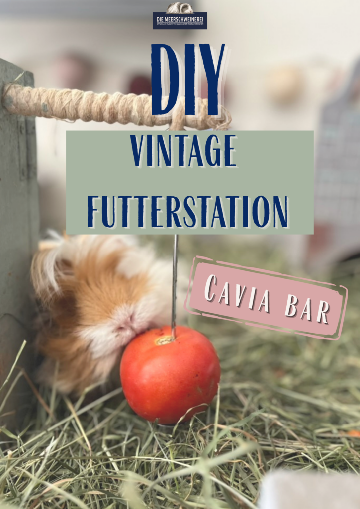 Titelblatt 2 DIY Futterstation Cavia Bar Anleitung.