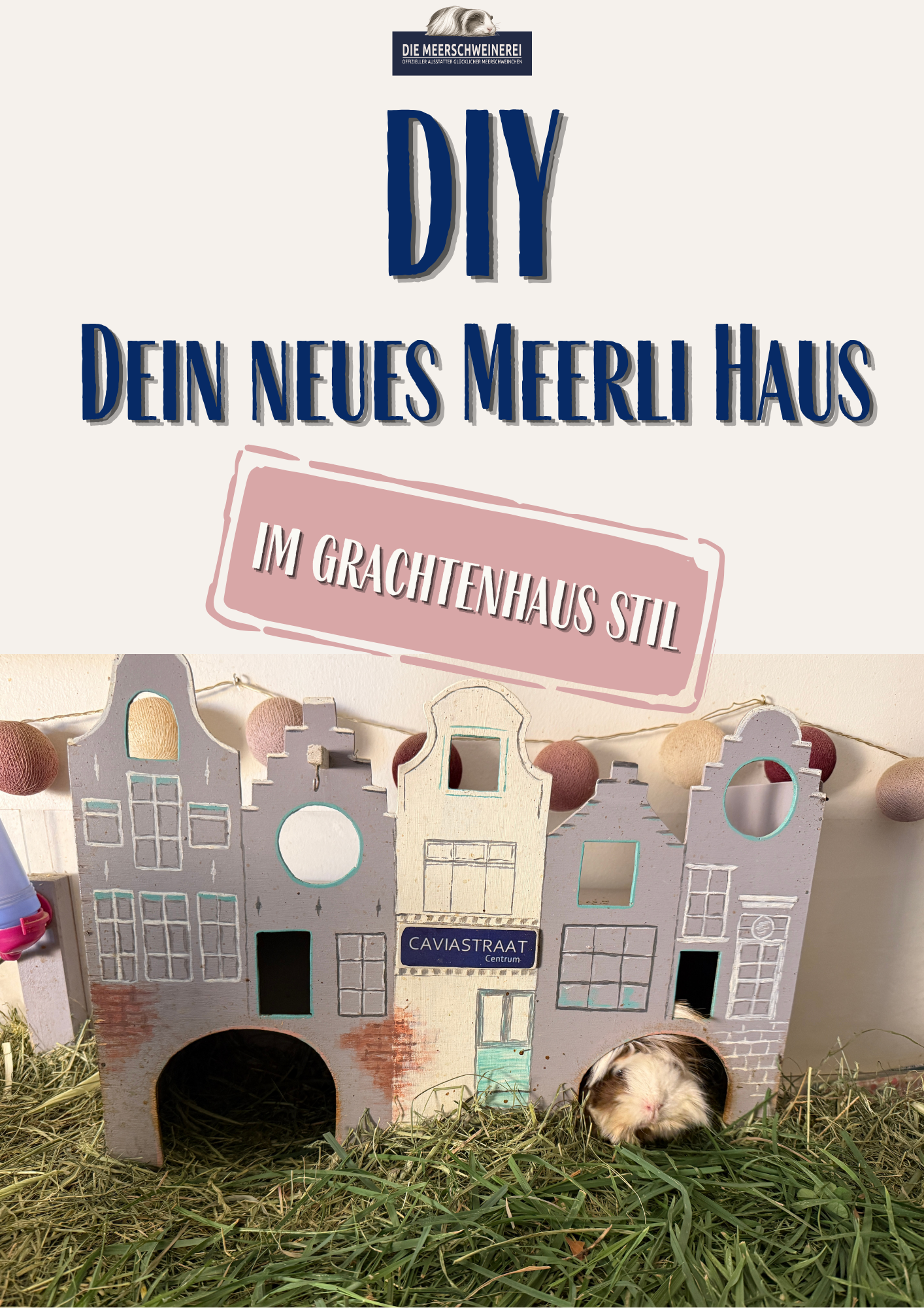 DIY Meerlihaus – wenn artgerecht plötzlich auch wunderschön sein darf