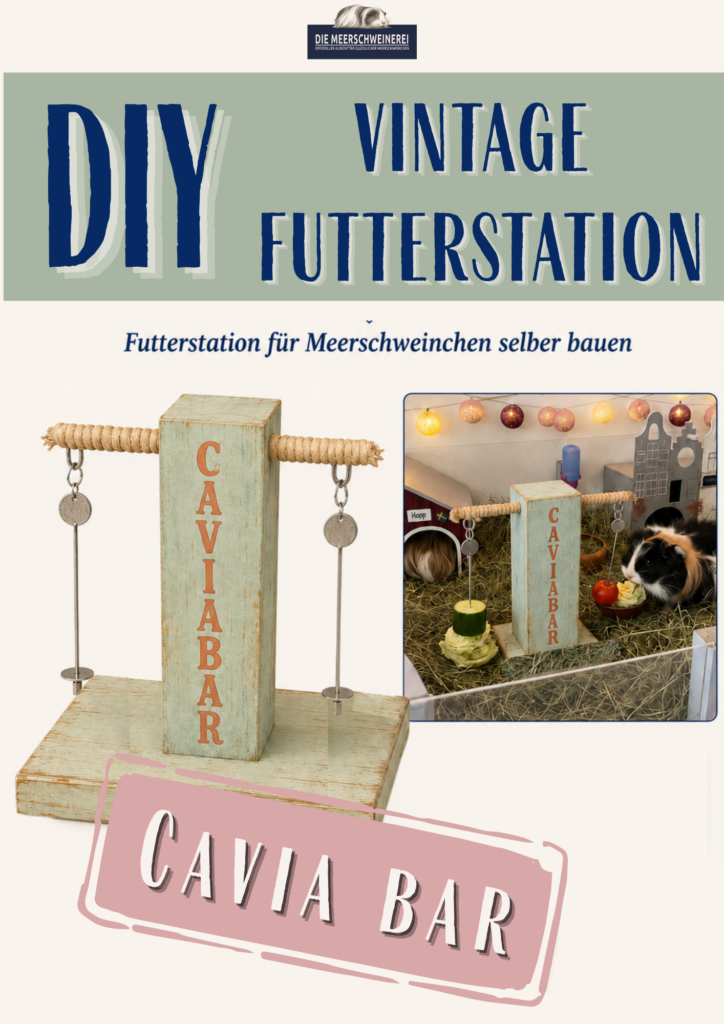 DIY Cavia Bar – die Futterstation, die Abwechslung ins Meerli-Gehege bringt