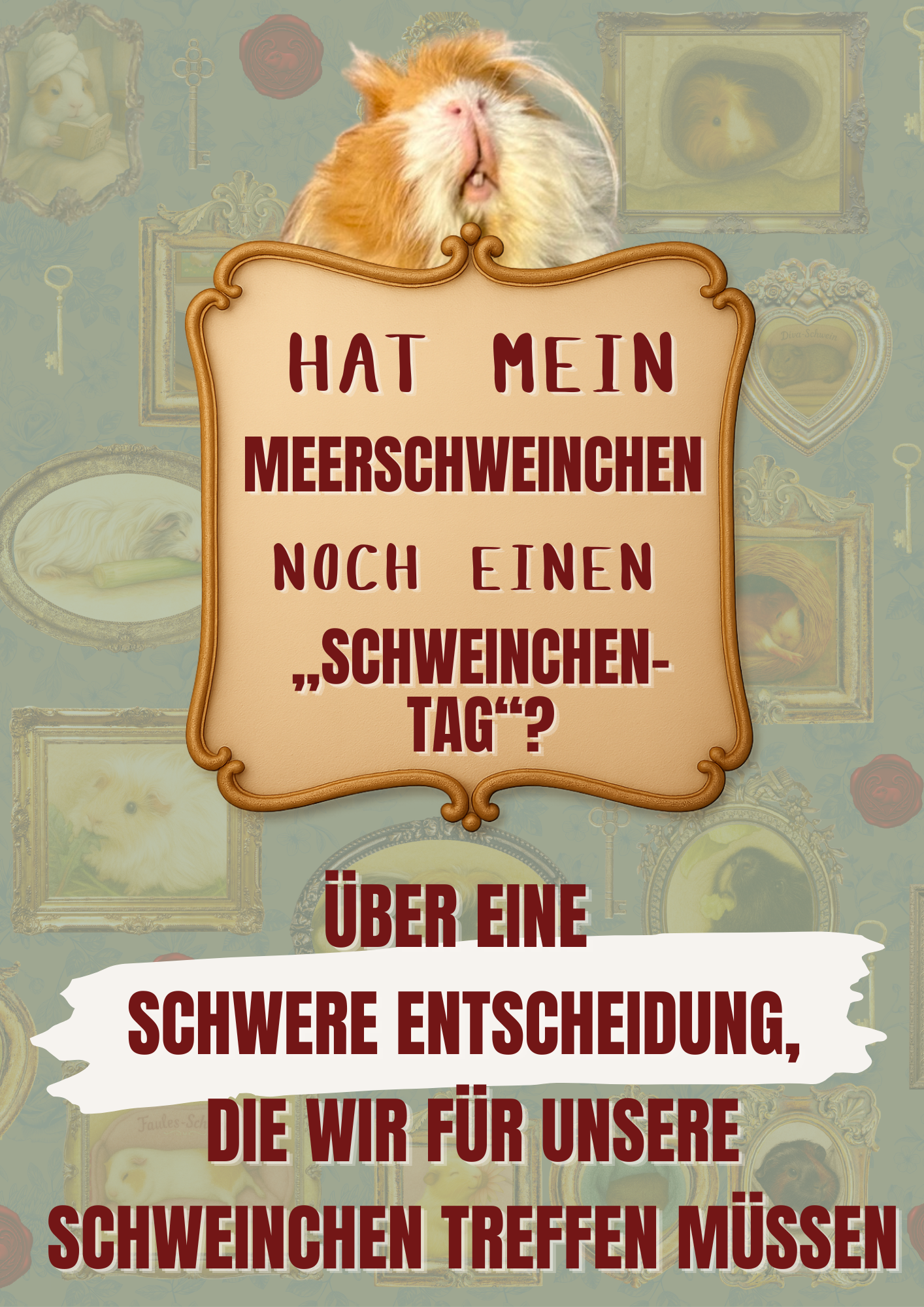 Hat mein Meerschweinchen noch einen „Schweinchen-Tag“?