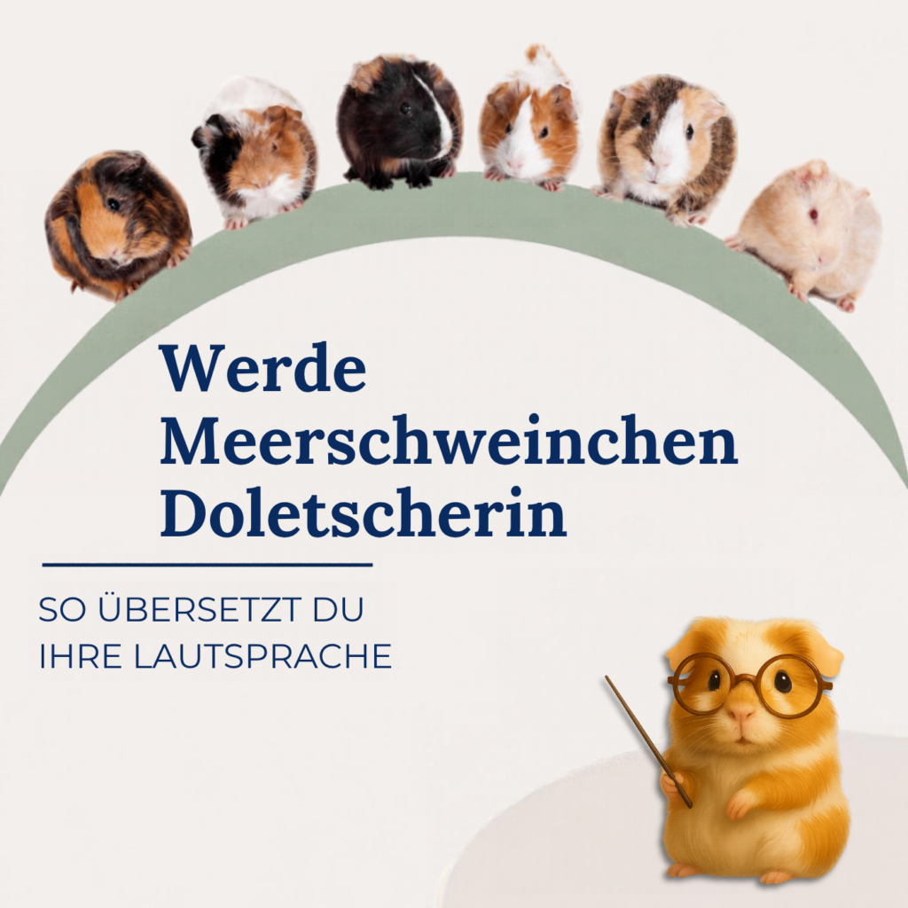 Pippa erklärt die Lautsprache von Meerschweinchen “ Wir sind richtige Quasseltanten!“