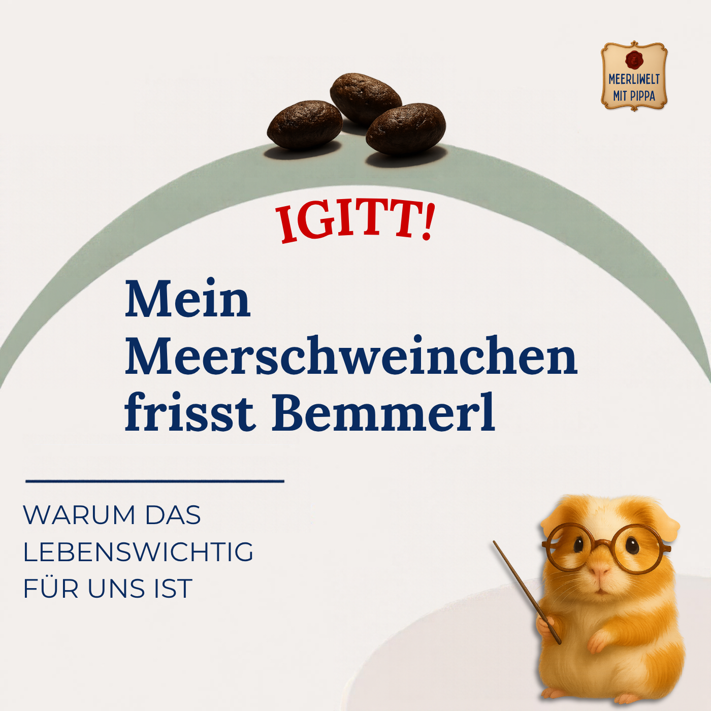 IGITT! Mein Schweinchen frisst Bemmerl! Warum das gar nicht igitt, sondern lebenswichtig ist!