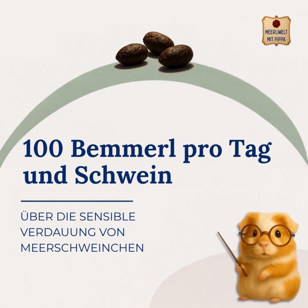 100 Bemmerl pro Tag und Schwein – so produktiv musst du mal sein!