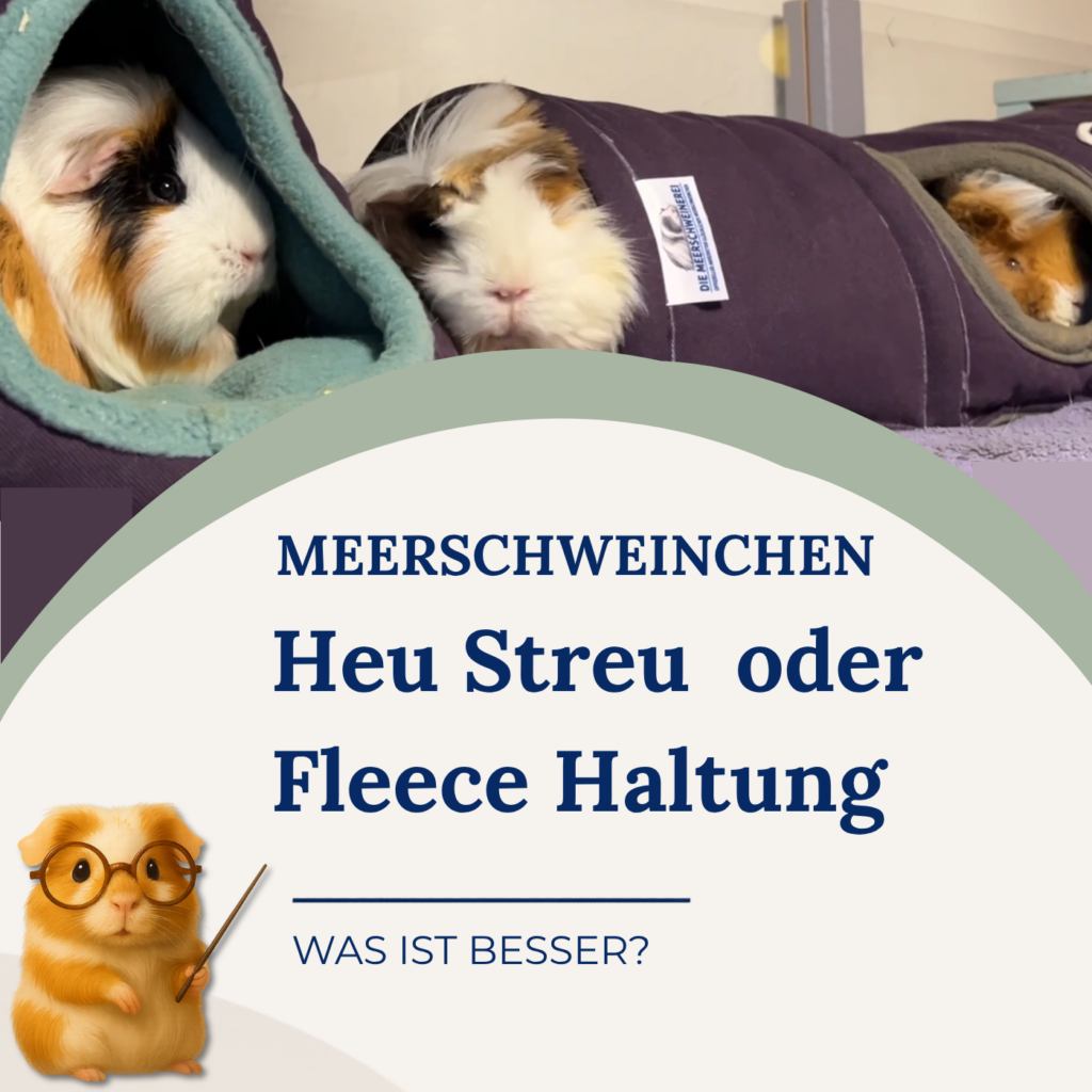Was ist besser? Fleece- oder Heu/Streuhaltung. Pippa klärt auf