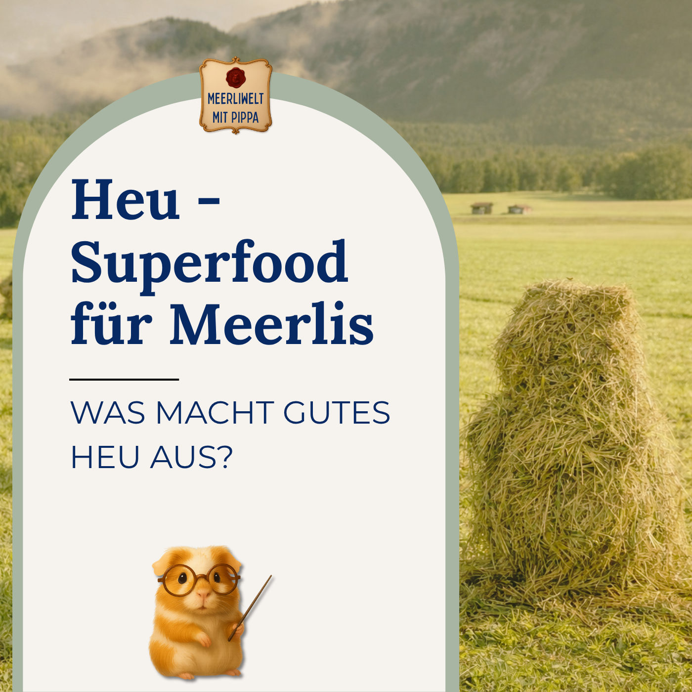 HEU – DAS Superfood für Meerschweinchen- Was macht gutes Heu aus?