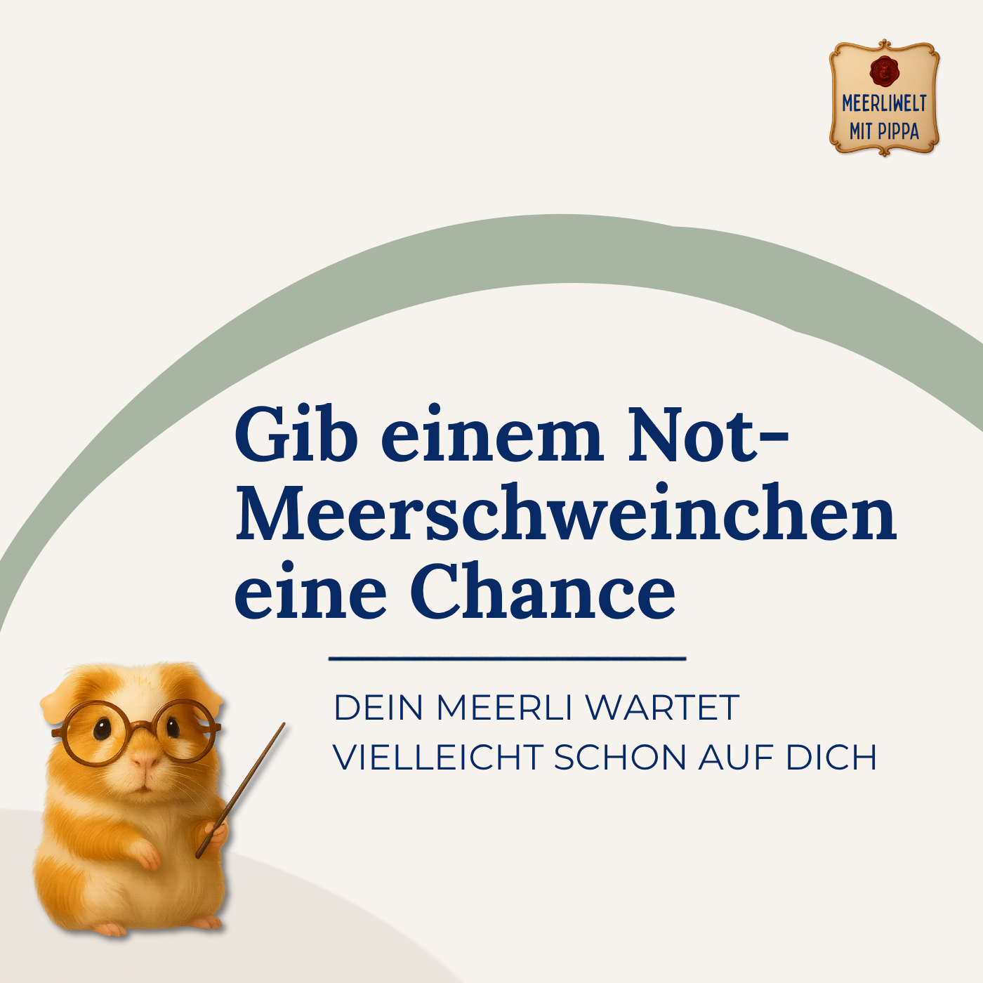 Gib einem Notmeerschweinchen eine Chance