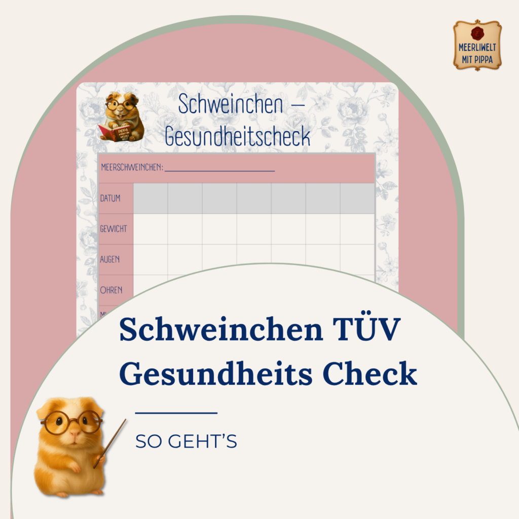 Der Schweinchen-TÜV Pippas liebevoller Gesundheitscheck für Meerschweinchen