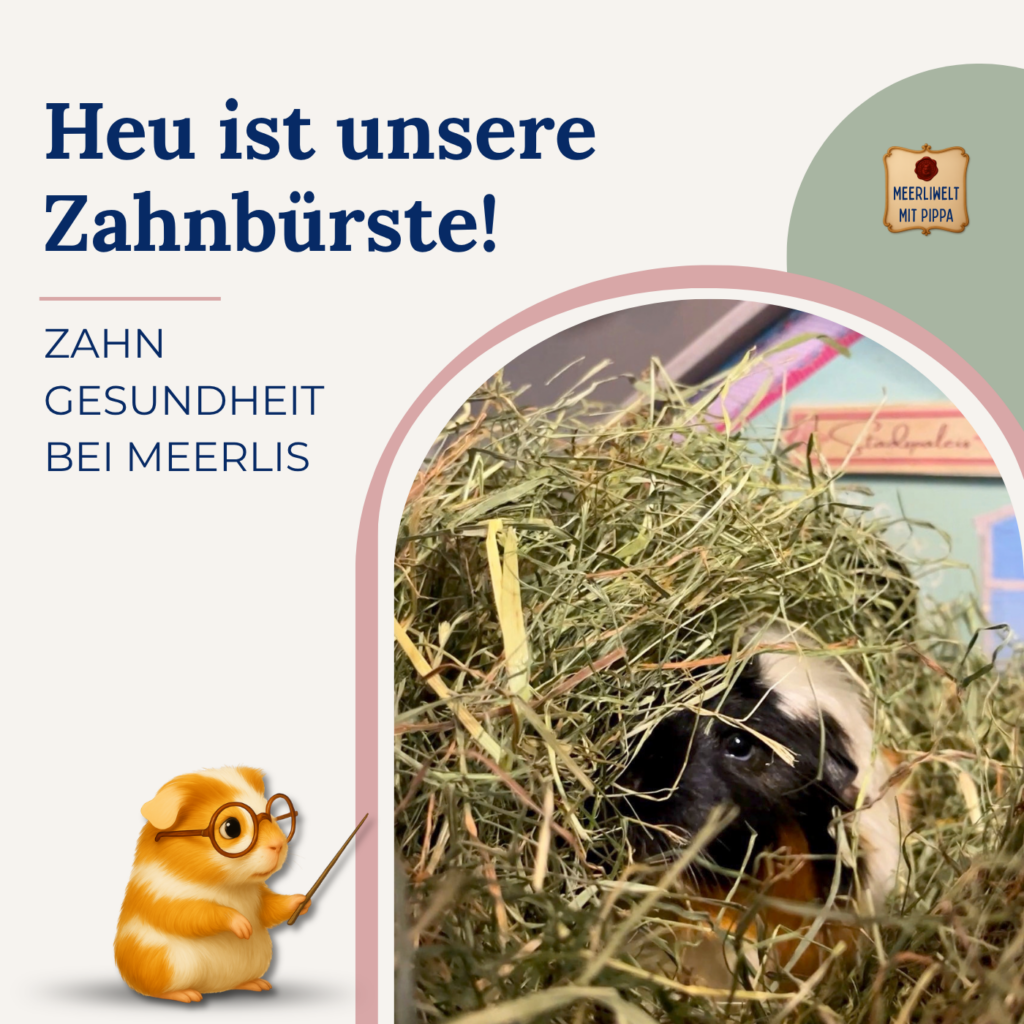 HEU – UNSERE Zahnbürste!