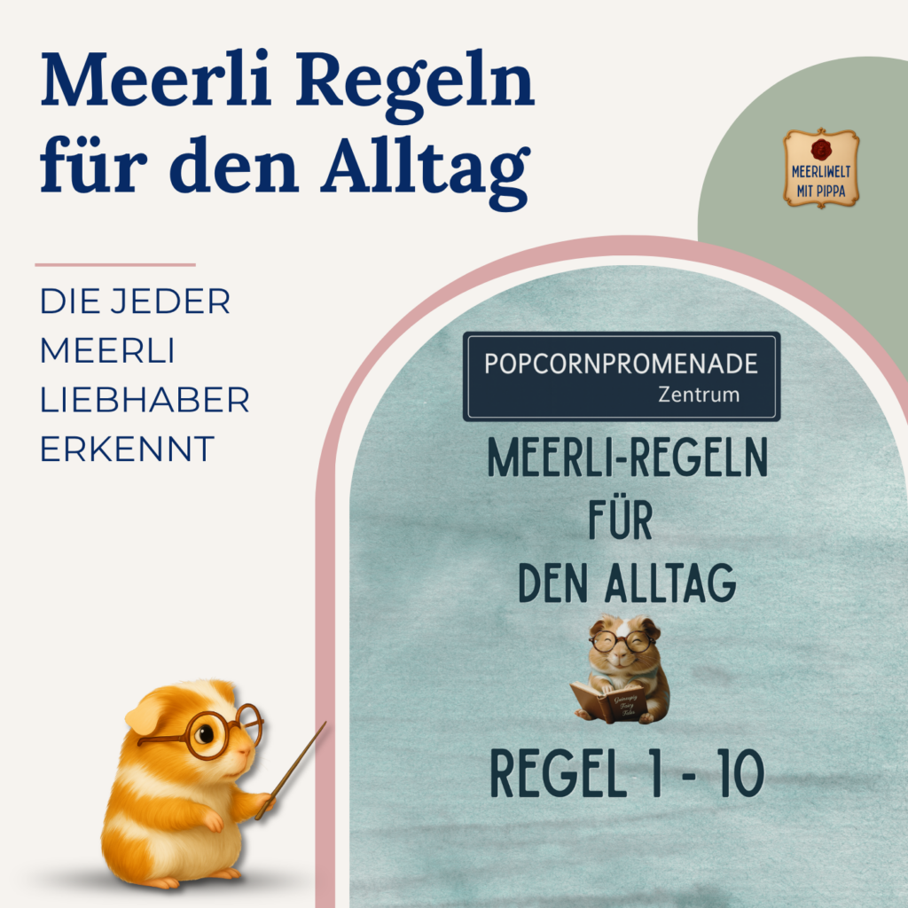 Meerli-Regeln für den Alltag