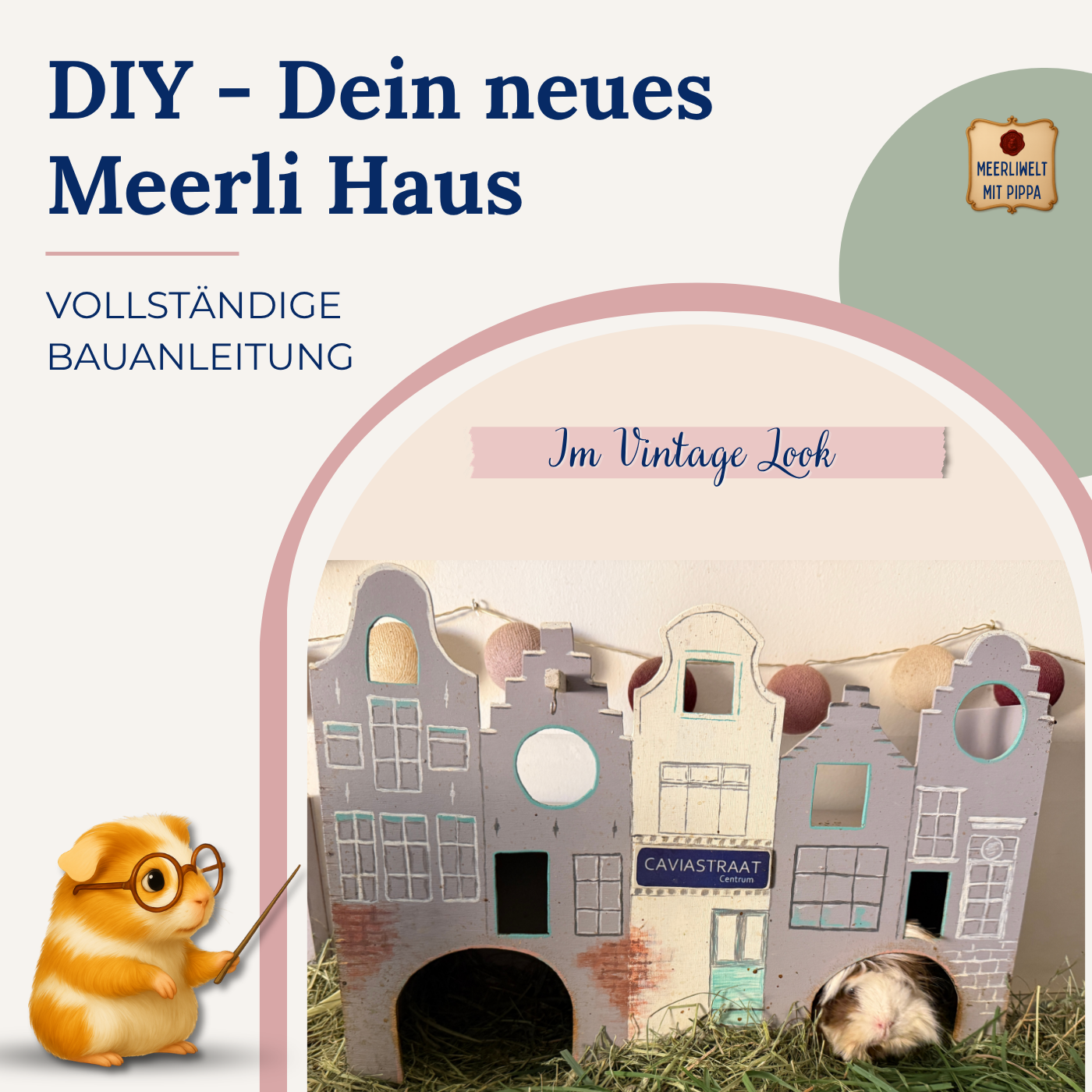DIY Meerlihaus im Grachtenhausstil – wenn artgerecht plötzlich auch wunderschön sein darf
