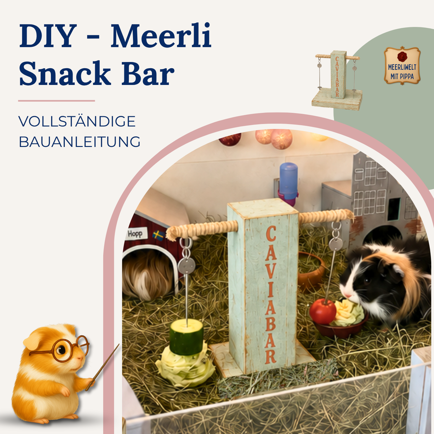 DIY Cavia Bar – die Futterstation, die Abwechslung ins Meerli-Gehege bringt